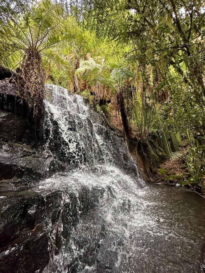 Lodge Chale Refugio Aguas